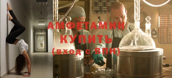крисы Ельня