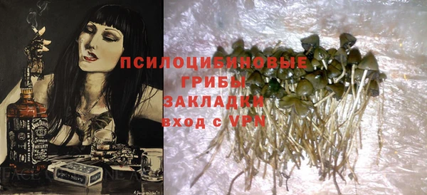 сатива Елизово