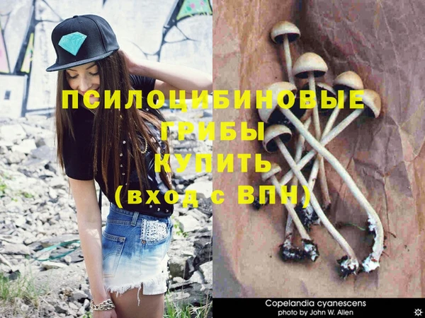 крисы Ельня