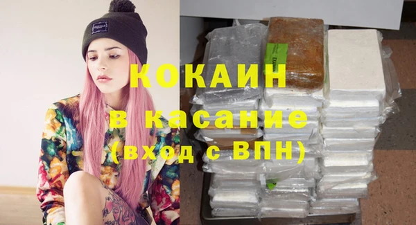 крисы Ельня