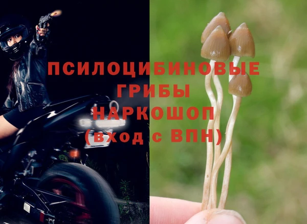 шишки Дмитров