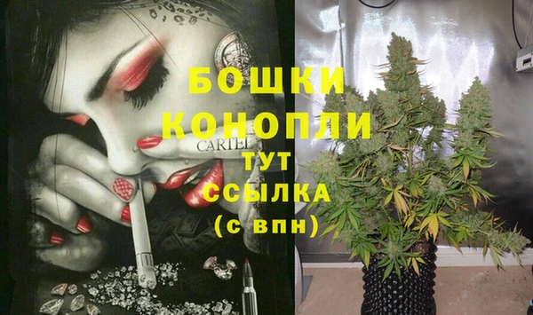 сатива Елизово